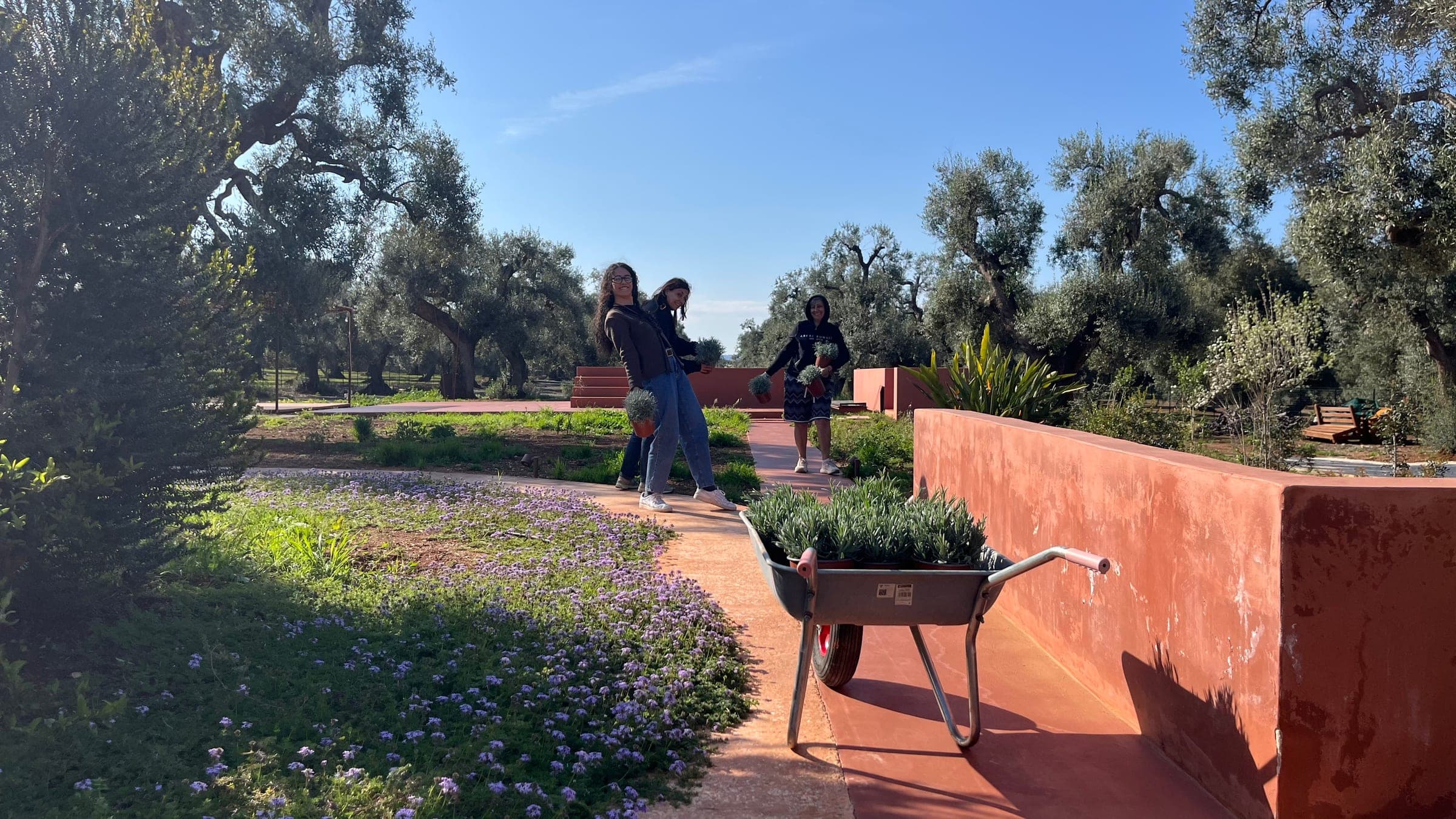 Il giardino con la lavanda - OZIO Il Trullo Rosso