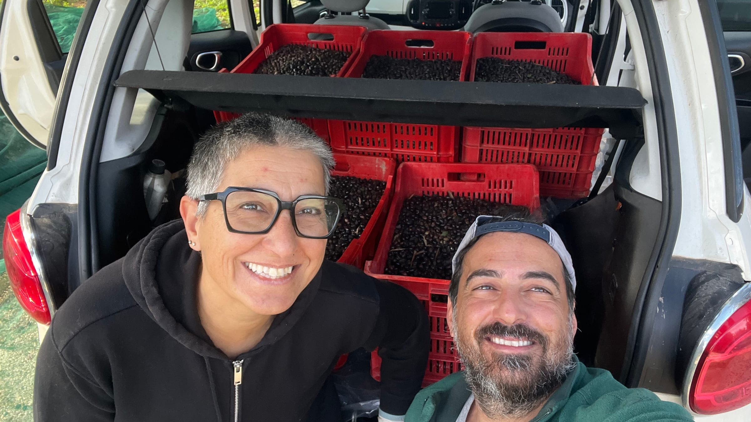 La raccolta delle olive in famiglia - OZIO Il Trullo Rosso